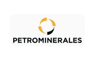 petrominerales